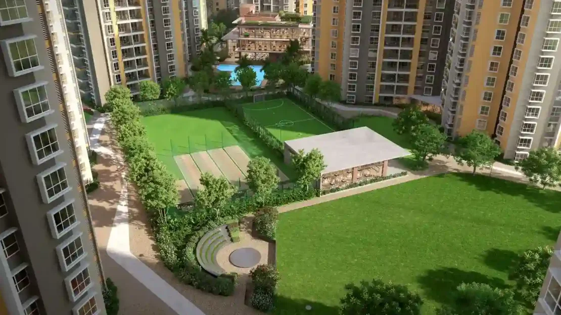 video image