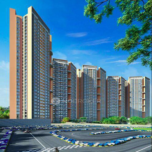 video image