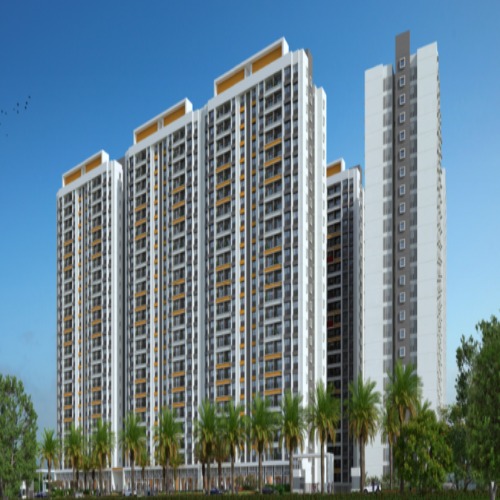 video image