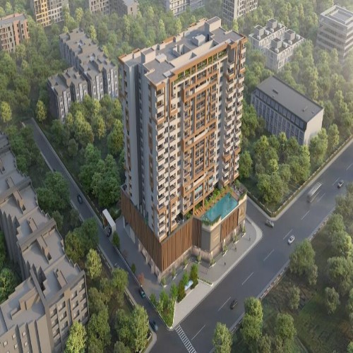 video image