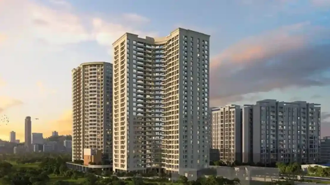 video image