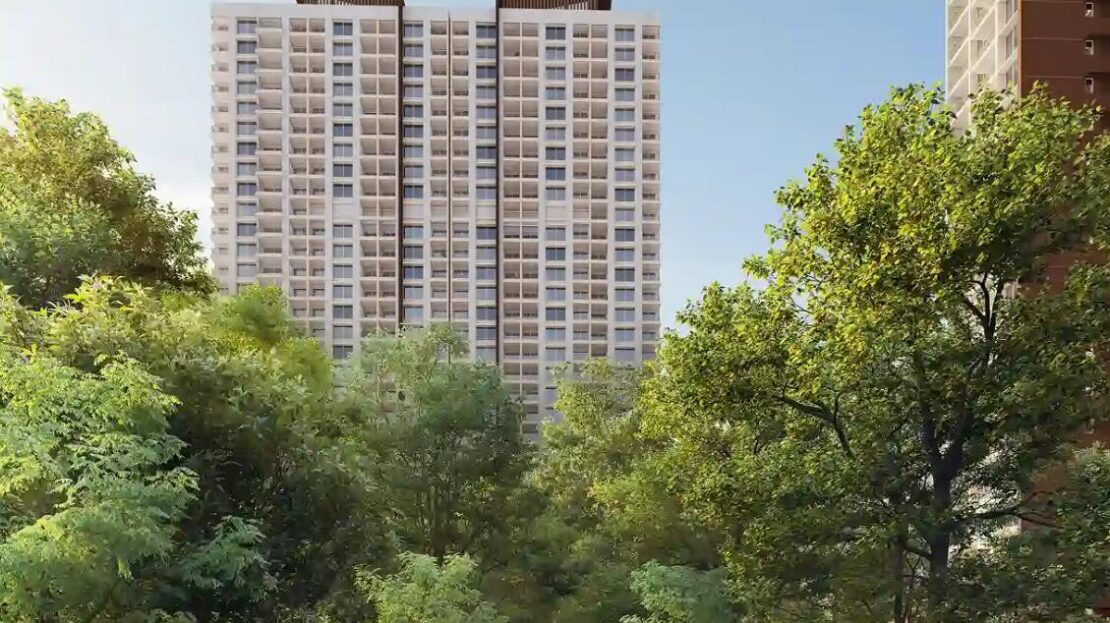 video image