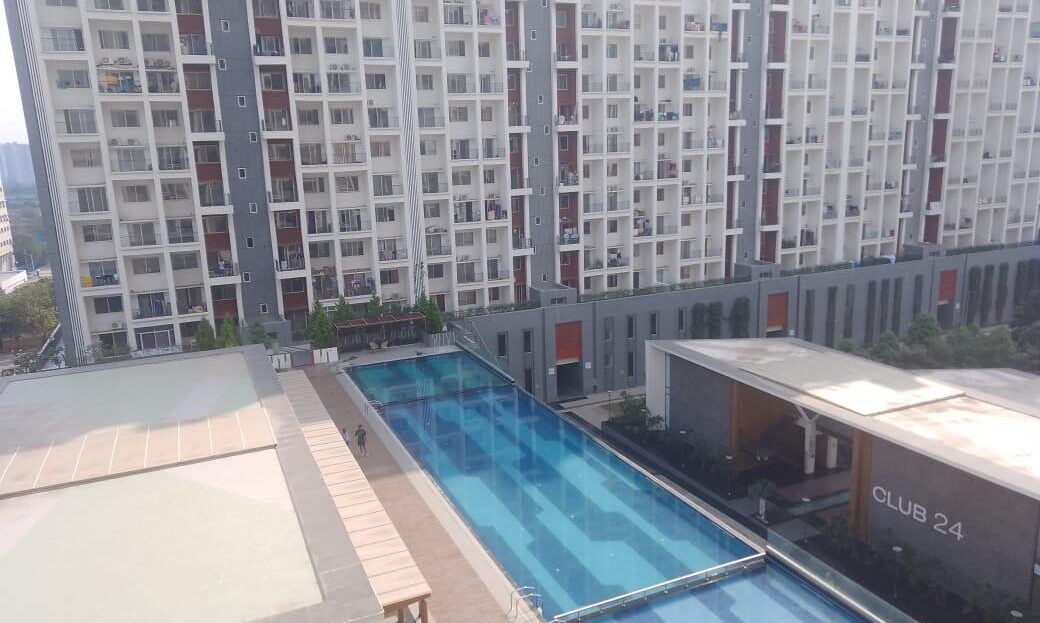 video image